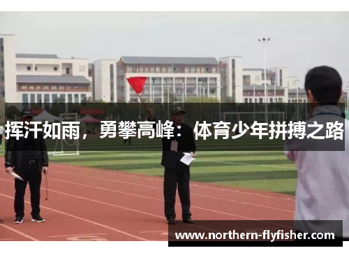 挥汗如雨，勇攀高峰：体育少年拼搏之路
